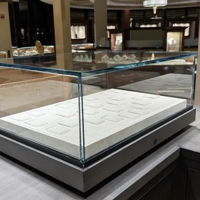 Watch Case Naples FL